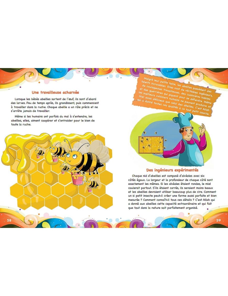 Pack de 10 livres pour les enfants : Collection "De la Science à la Foi : Découvrir Allah à travers Sa Création" - IIPH IIPH Livre > Islam 9782492026140 Librairie Musulmane Al-imen