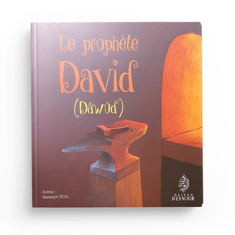 Pack : Histoires des Prophètes (10 livres) - Maison d'Ennour Maison d'Ennour Livre Islam Enfant 9782492027307 Librairie Musulmane Al-imen