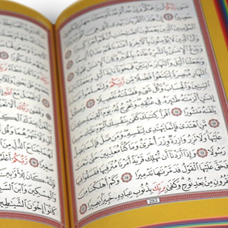 « Coran Arc-en-ciel Arabe Hafs Couverture couleur Rose de luxe » – vue 3