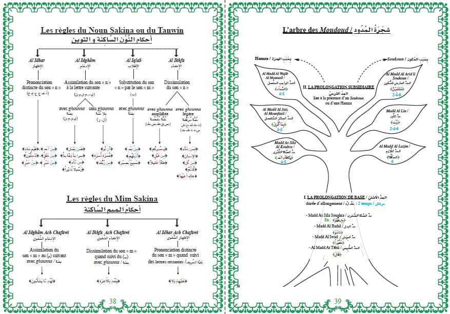 Apprendre les Règles du Tajwîd du Noble Coran — Selon Hafs d'après 'Assim | Orientica | Livre Islam Bilingue Orientica Livre Islam Tajwid 9782356351203 Librairie Musulmane Al-imen