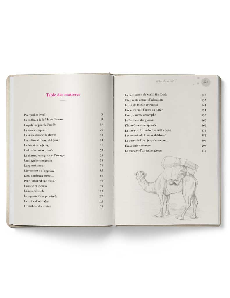 Ces héros de l'islam - Siham Andalouci - Éditions Tawhid Tawhid Livre > Islam 9782848623474 Librairie Musulmane Al-imen