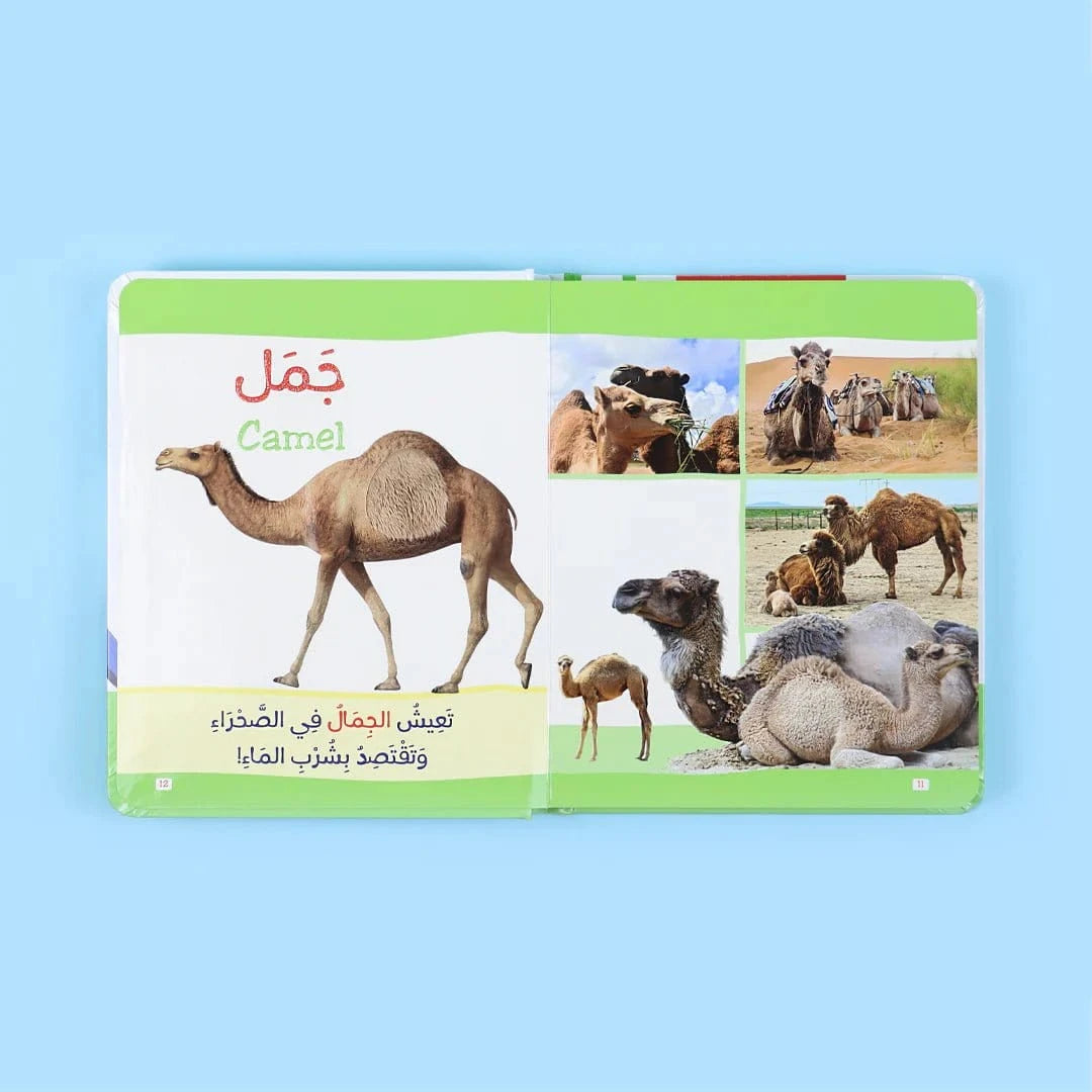 كتاب مونتيسوري الأول: الحيوانات باللمس Digital Future Livres Arabe 9786144951071 Librairie Musulmane Al-imen