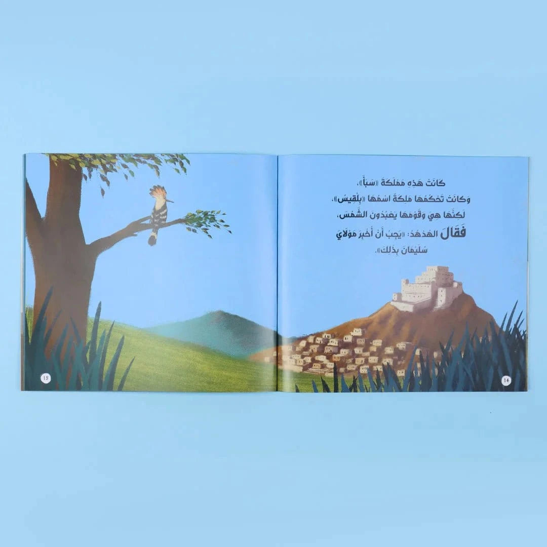 قصصي الأولى عن أنبياء الله ورسله Digital Future Livres Arabe 9786144951347 Librairie Musulmane Al-imen