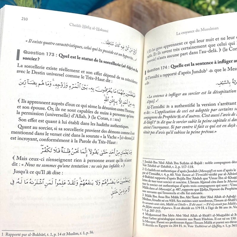 La croyance du musulman en  200 questions-réponses - Shaykh Hâfiz Al-Hakamî - Editions Al hadith - éditions Al-Hadîth Al-Hadîth Livre > Islam > Tawhid / Aqidah (Croyance) 9782875452900 Librairie Musulmane Al-imen