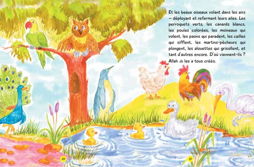 Les Récits du Coran pour Enfants — Orientica | Livre Islam Illustré Orientica Livre Islam Enfant 9789351790693 Librairie Musulmane Al-imen