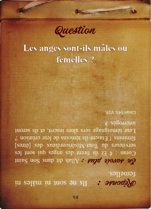 Muslim Challenge : La Croyance et le Dogme ('Aqîda) — Jeu Éducatif Islam | Orientica Orientica Livre > Islam > Tawhid / Aqidah (Croyance) 9782356352897 Librairie Musulmane Al-imen