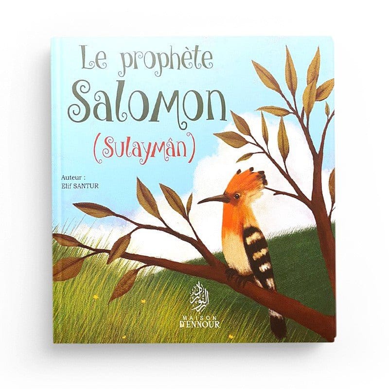Pack : Histoires des Prophètes (10 livres) - Maison d'Ennour Maison d'Ennour Livre Islam Enfant 9782492027307 Librairie Musulmane Al-imen